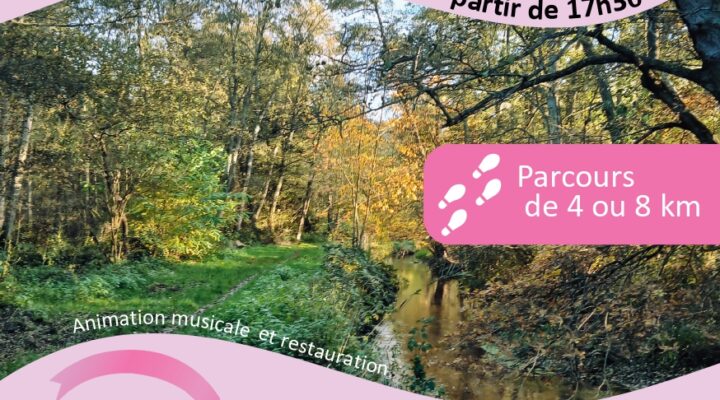 Marche rose contre le cancer
