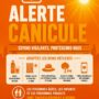 Canicule